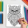 Night Watchers: 50 Owl Coloring Designs for Relaxation and Creativity - Image 5